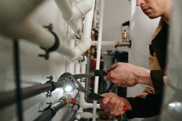 Best Drain Cleaning Services  in Roxana, IL