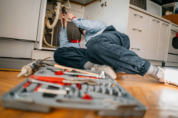 Best Emergency Plumber  in Roxana, IL