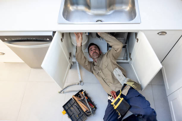 Best Plumbing Repair Near Me  in Roxana, IL