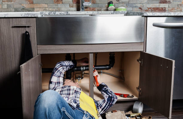 Best Plumbing Inspection Services  in Roxana, IL