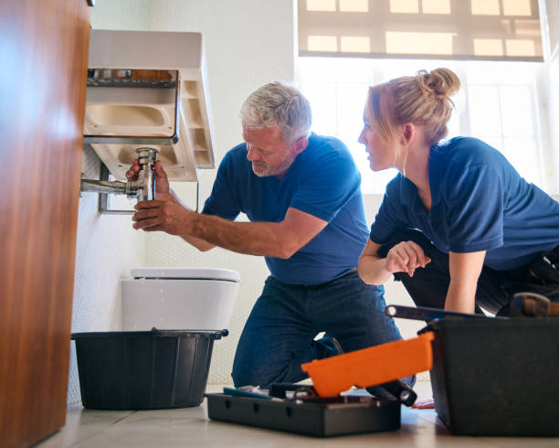 Best Commercial Plumbing Services  in Roxana, IL